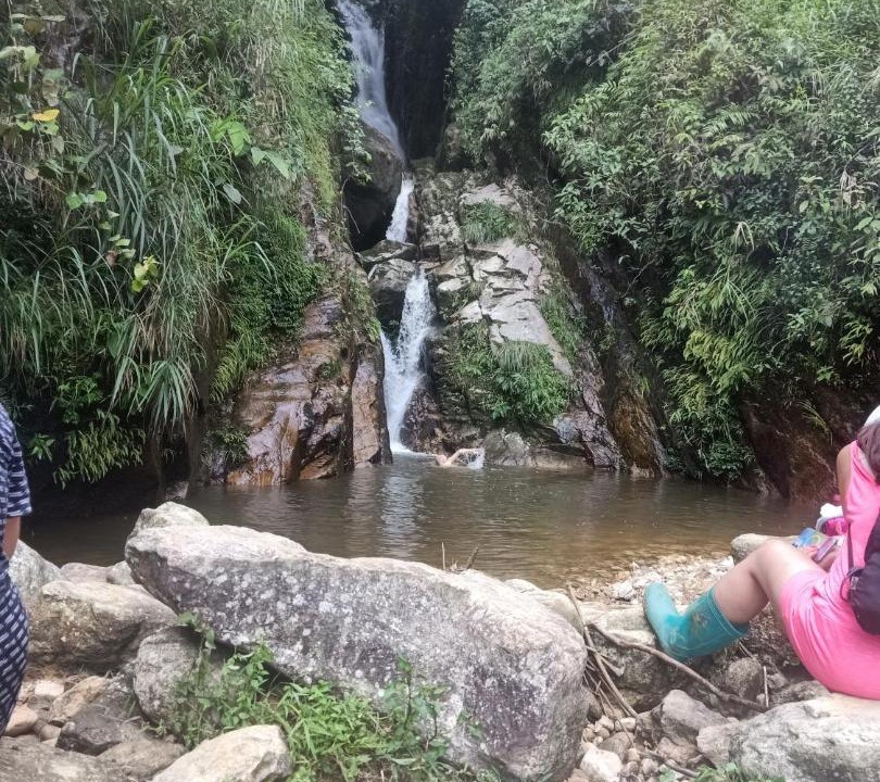 Photo of Others in Hau Thao