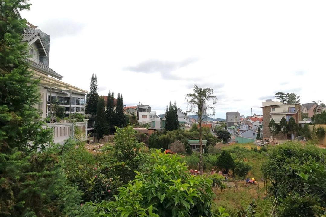 Photo of Others in Da Lat