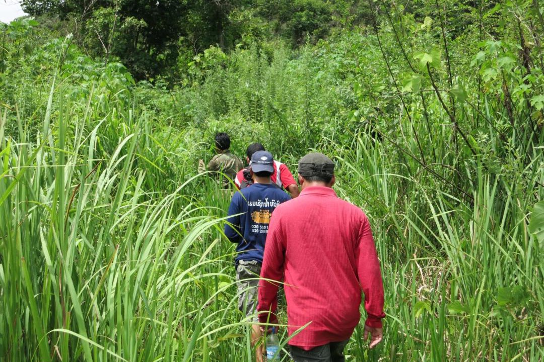 Photo of Others in Xieng Khouang