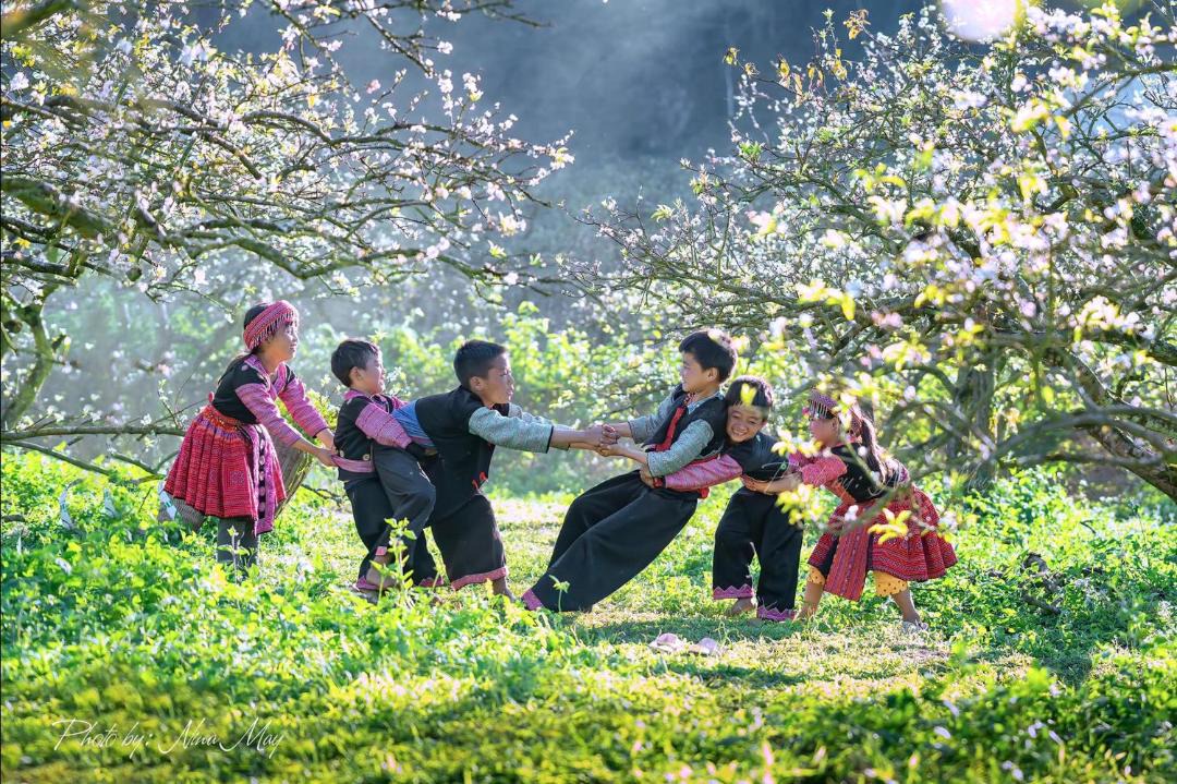 Photo of Others in Moc Chau