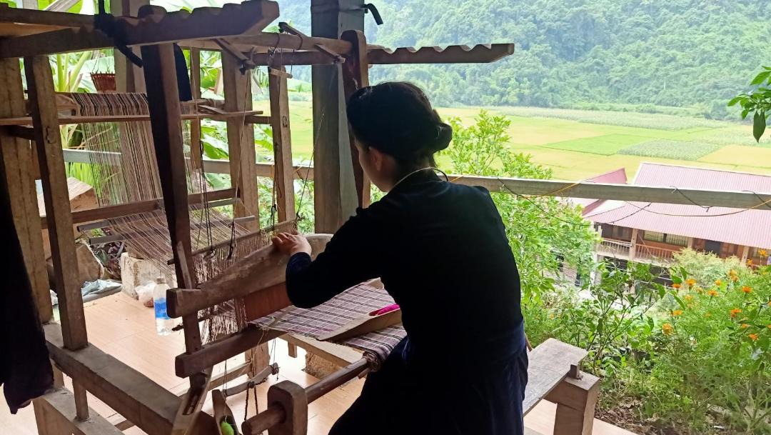 Photo of Others in Nam Mau