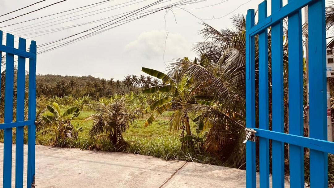 Photo of Others in Tuy An