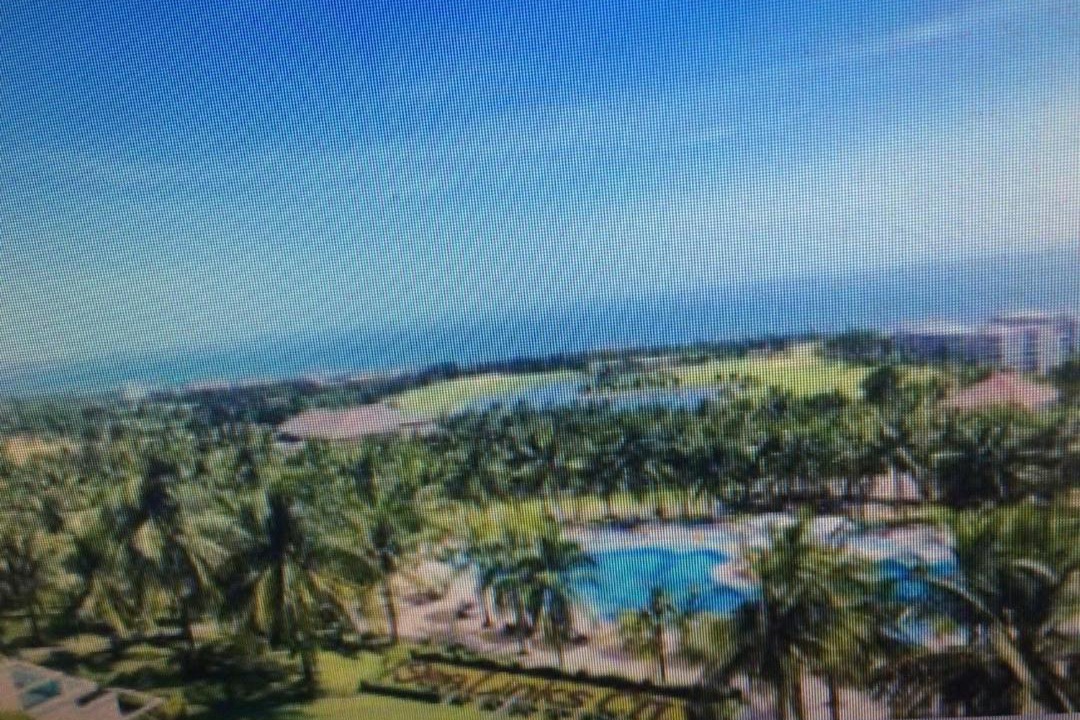 Photo of Others in Phu Hai Beach
