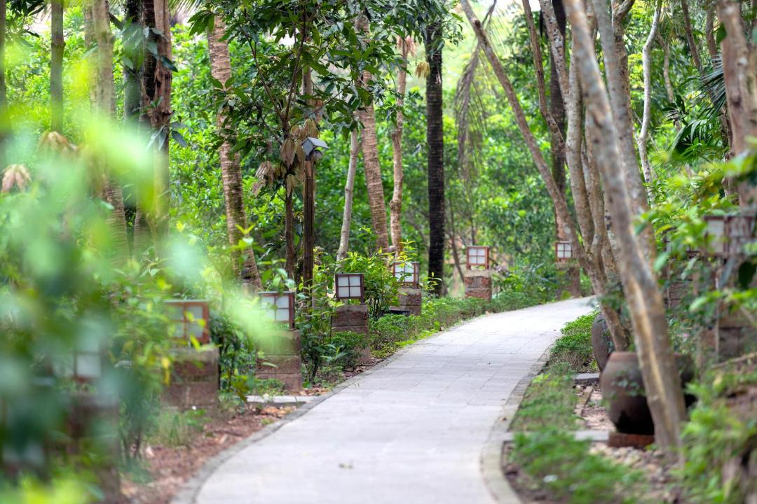 Photo of Others in Thuy Xuan