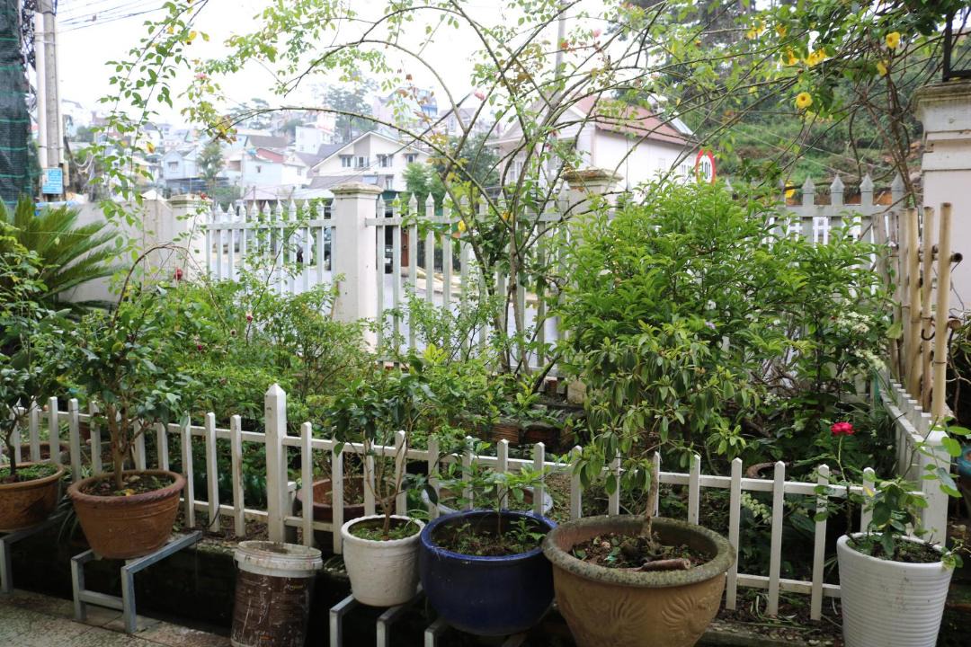 Photo of Others in Da Lat