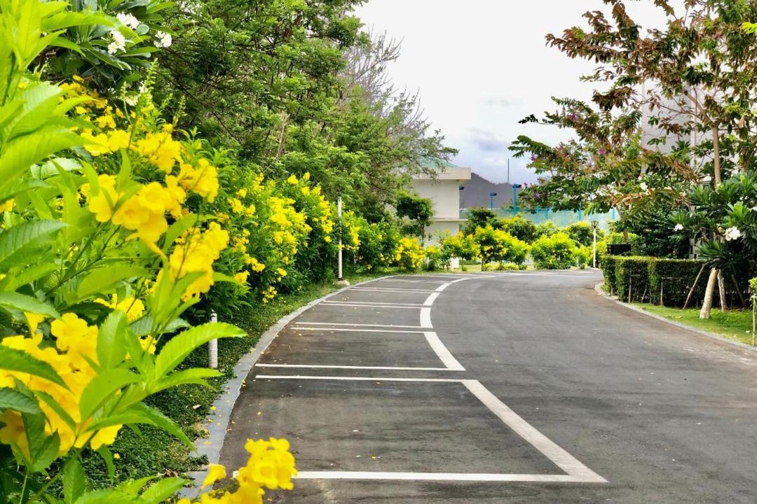 Photo of Others in Long Hai