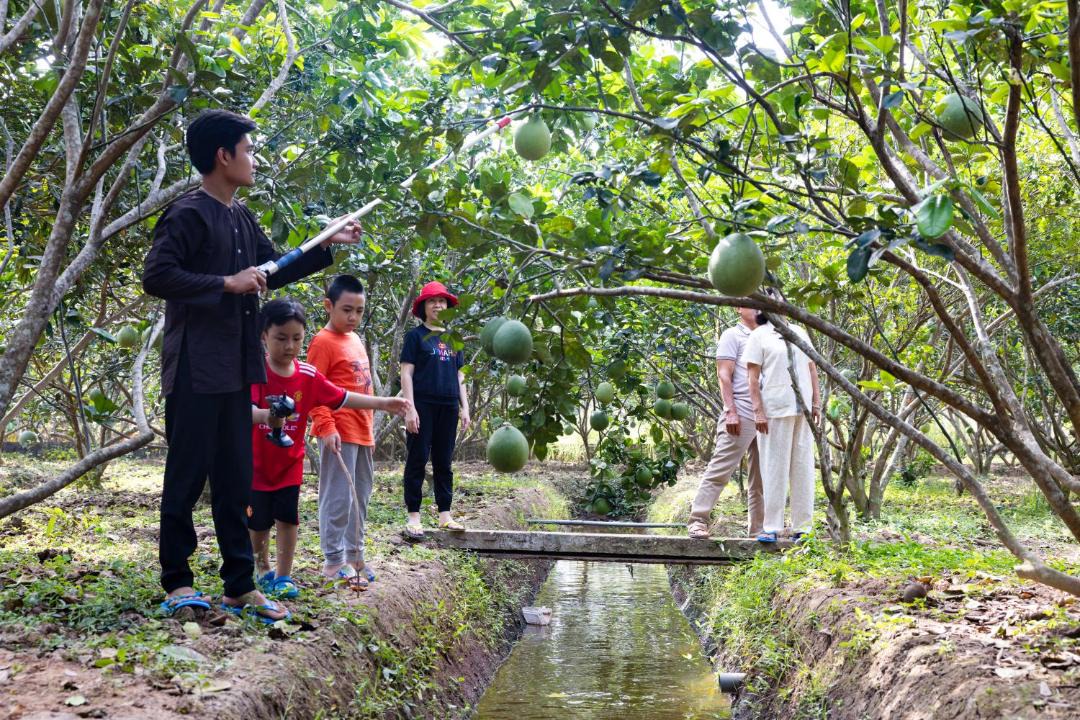 Photo of Others in Chau Thanh