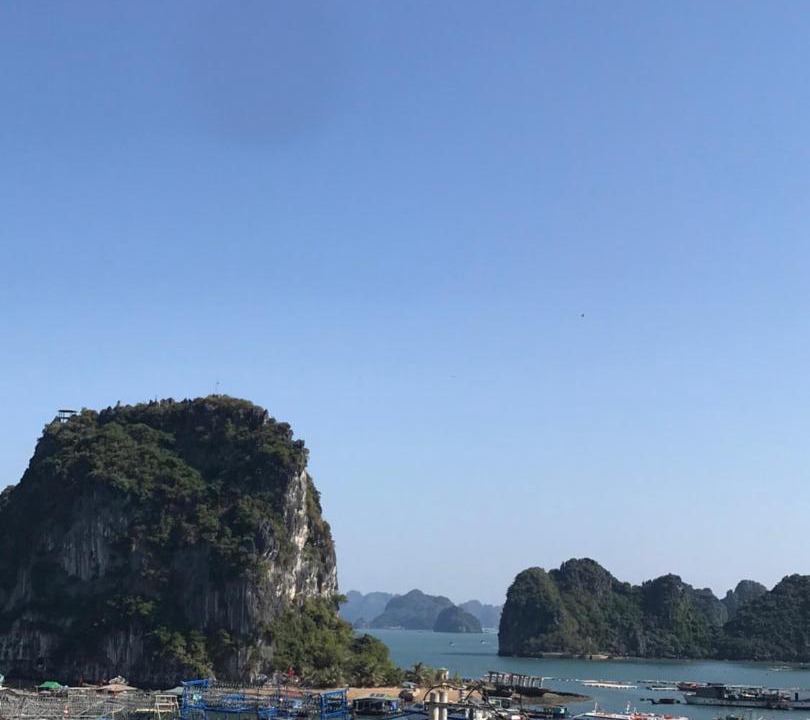 Photo of Others in Van Don