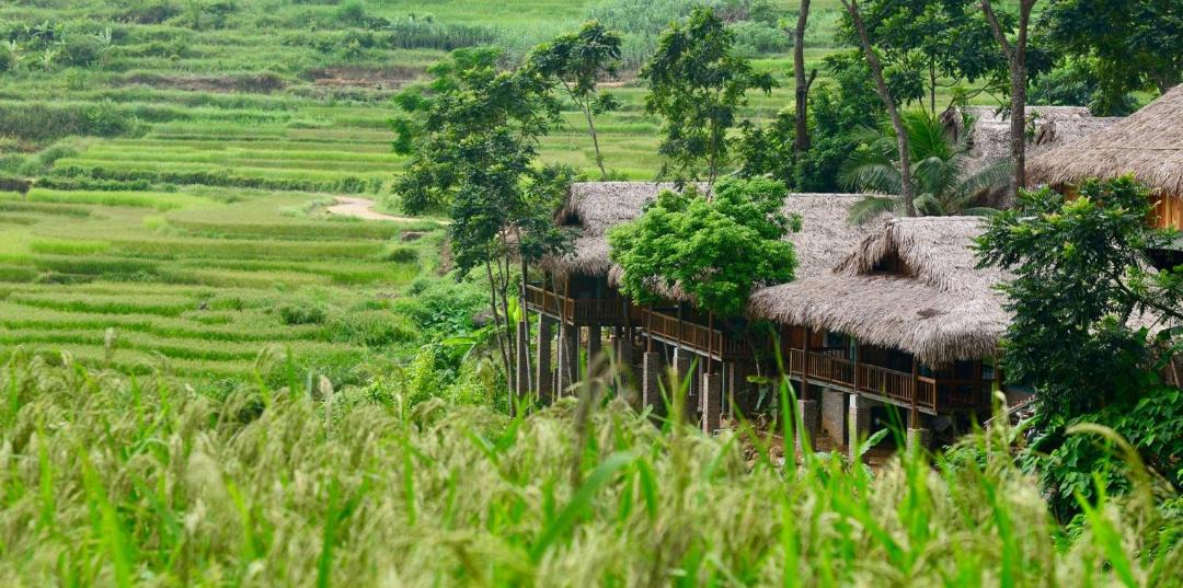 Photo of Others in Kho Muong
