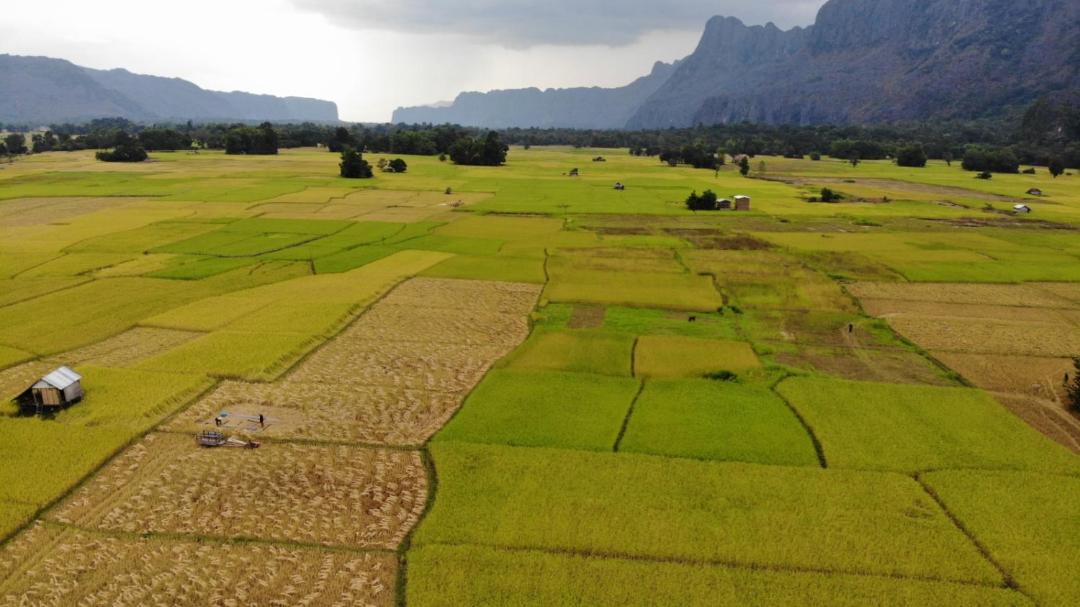 Photo of Others in Kong Lor