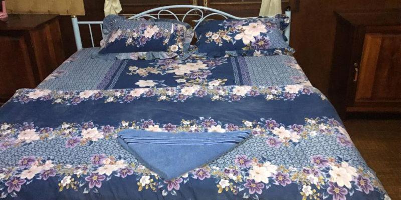 Photo of Bedroom in Pakse