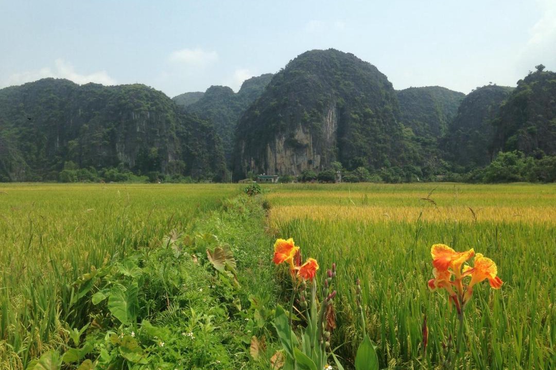 Photo of Others in Hoa Lu