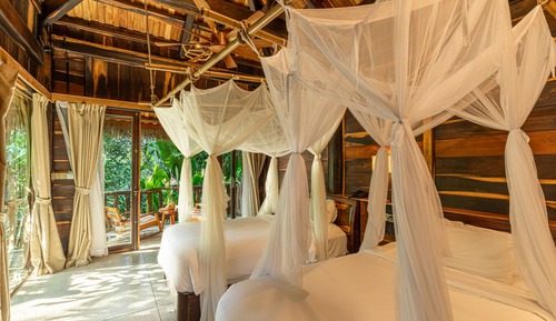 Premium Jungle Bungalow Twin