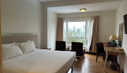 Superior Double Room with Window - Garden View