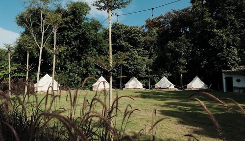 Basic Tent, Garden View