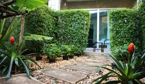 Garden View Room