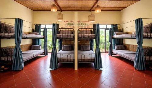 Bunk Bed in Mixed Dormitory Room