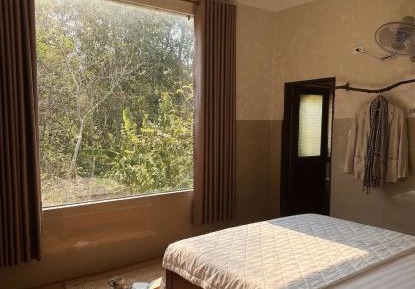 King Room with Garden View