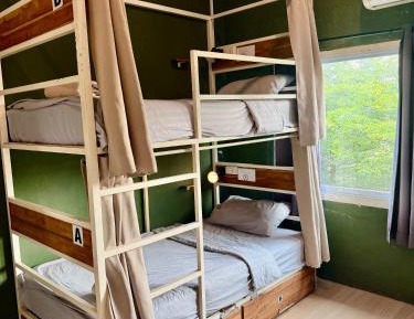 Bunk Bed in Mixed Dormitory Room
