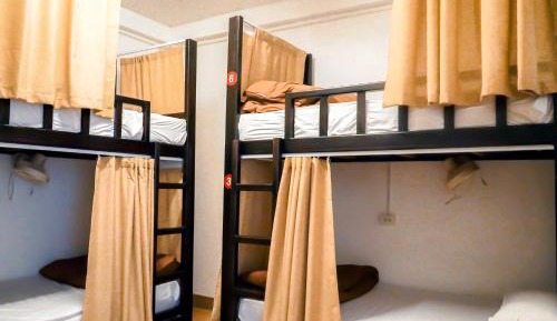 Bunk Bed in Female Dormitory Room  