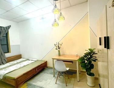 Family Studio