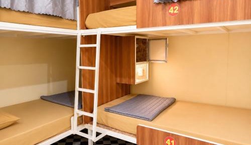 Bunk Bed in Mixed Dormitory Room