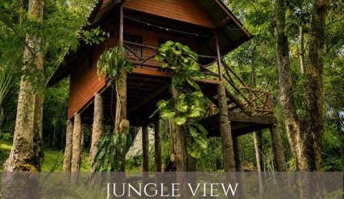 Jungle View Treehouse