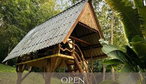 Open Treehouse