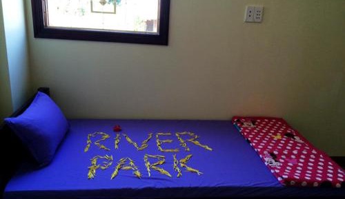 Single Bed in Mixed Dormitory Room