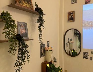 Superior Studio