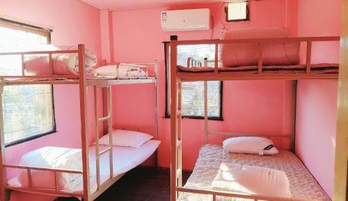 4-Bed Mixed Dormitory Room
