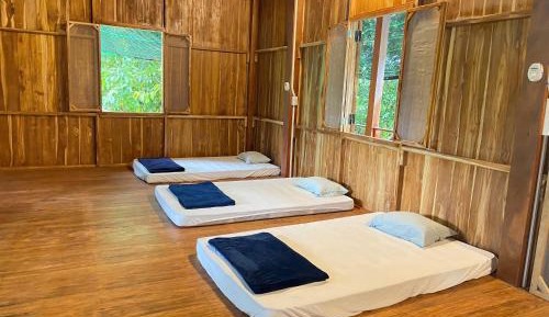 Mixed Dormitory Room
