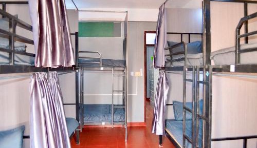 Single Bed in Mixed Dormitory Room