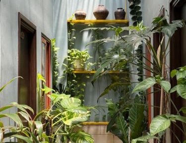 King Room with Garden View