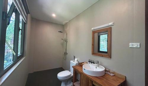 Sky Standard Room with Jungle View