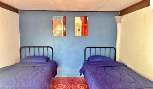 Mixed Dormitory Room