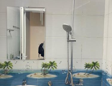 Triple Room with Shared Bathroom