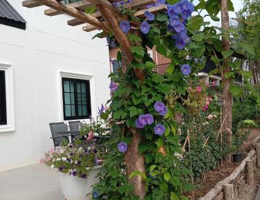 English Cottage Style Villa