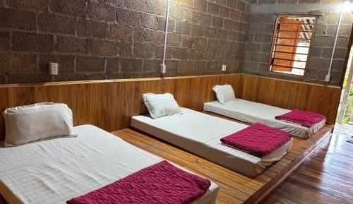 Bed in 10-Bed Mixed Dormitory Room