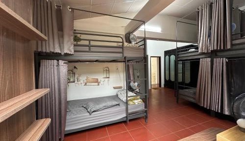 Bed in 8-Bed Mixed Dormitory Room