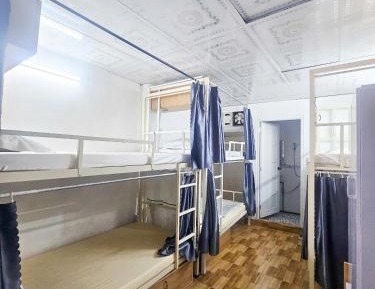 Bunk Bed in Mixed Dormitory Room