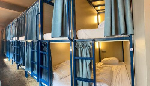 Bunk Bed in Mixed Dormitory Room
