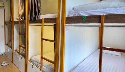 Bunk Bed in Mixed Dormitory Room