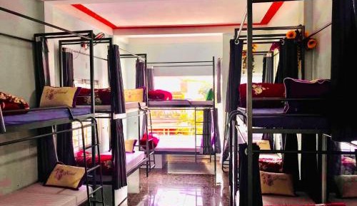 Bunk Bed in Mixed Dormitory Room