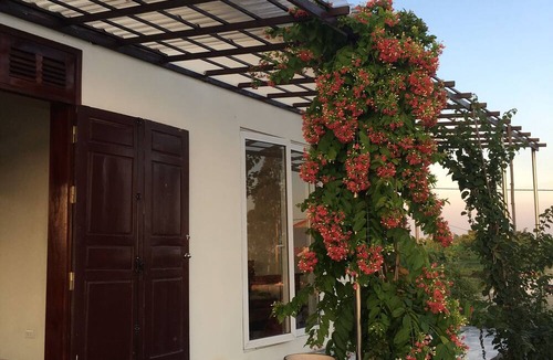 Huyen Kien Thuy House | Lotus House