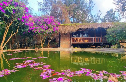 Mu Cang Chai Hostel | Hello Mu Cang Chai Homestay - Hostel