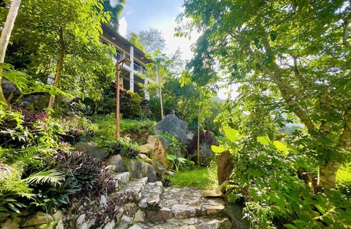 Nam Mau Hotel | Ba Be Lakeside Bungalow