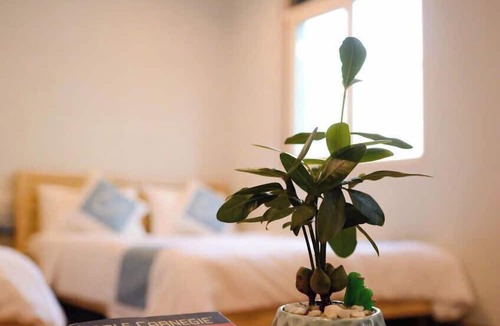 Duong To Hotel | The Costis Homestay & Hotel