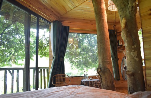 Sa Pa Cabin | Sapa Jungle