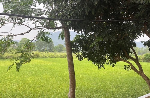Phong Nha Resort | Retreat Bungalow